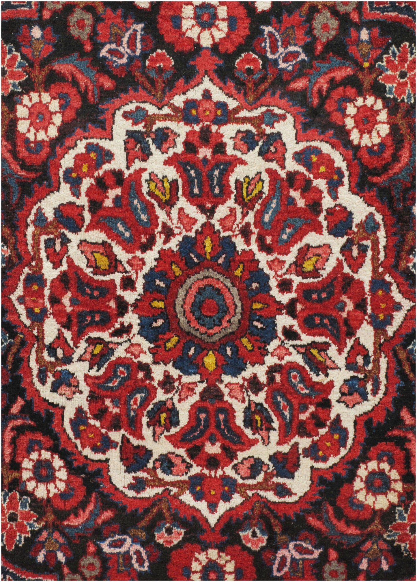 WAHO_IMAGE::u-3982-vintage-persian-baktiari-rug-6.08x10.01-12345.jpg