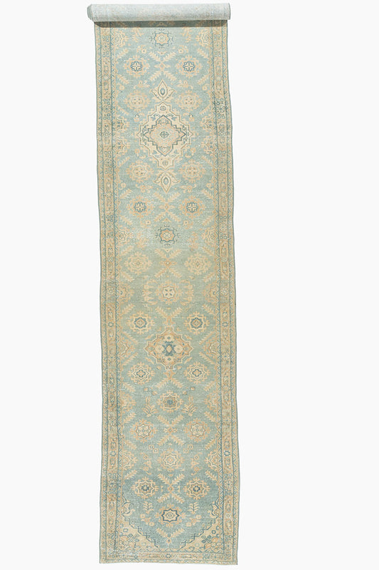 WAHO_IMAGE::u-5194 extra long antique persian bibikabad runner 2'7 x 22'8.jpg