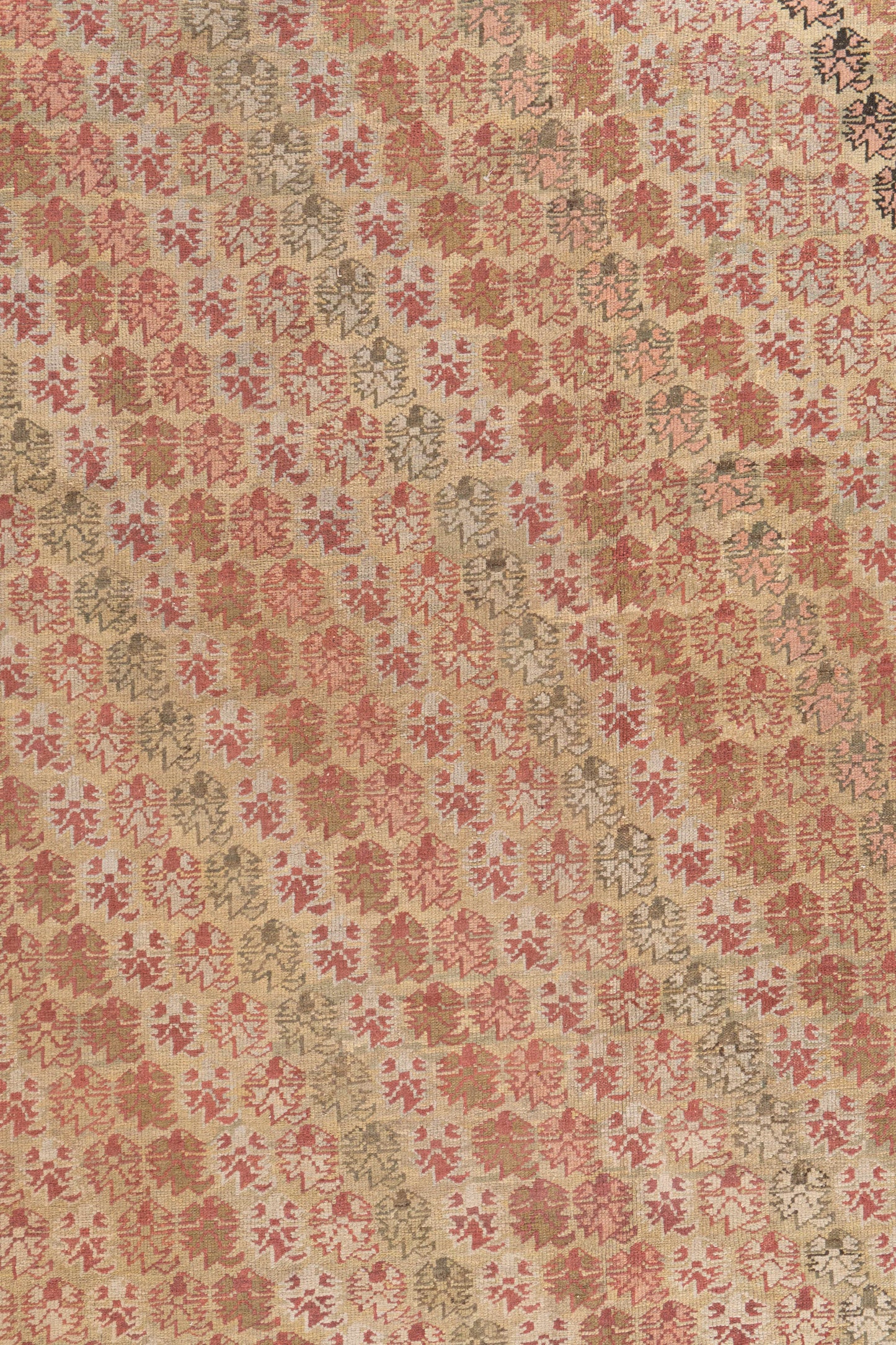 WAHO_IMAGE::cu-1598-antique-turkish-ghiordes-rug-13.08x17.07-17592.jpg