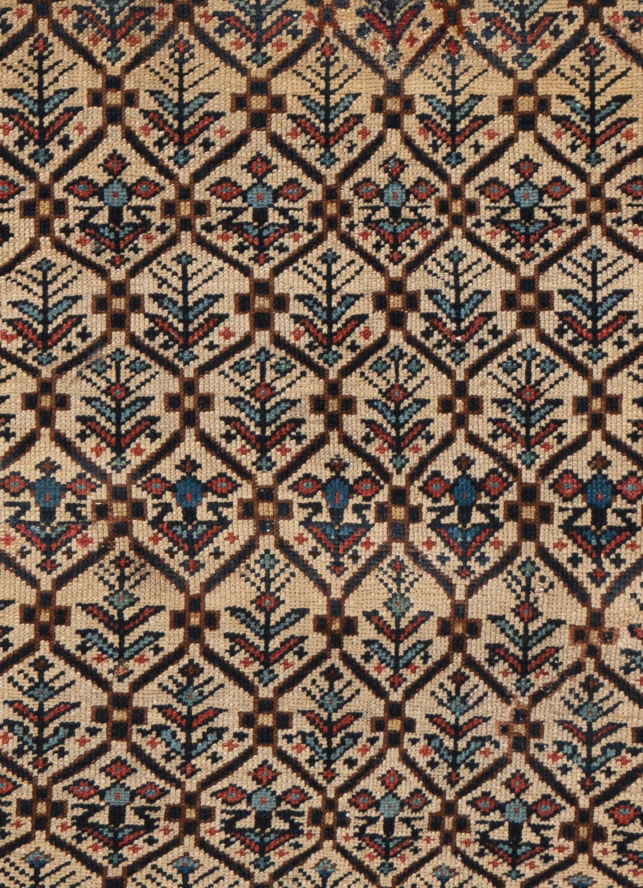 WAHO_IMAGE::cu-1640-antique-caucasian-shirvan-rug-03.07x05.03-18246.jpg