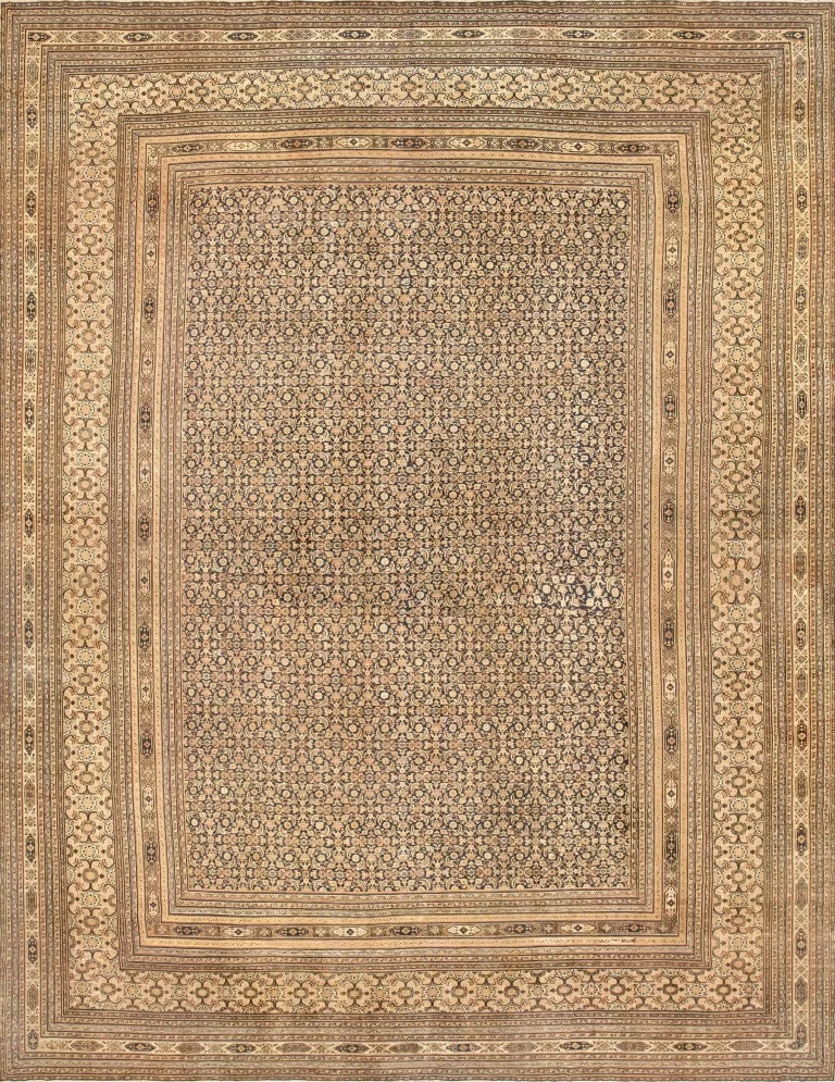 Kilims Flatweave Rugs