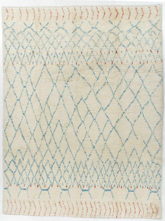 WAHO_IMAGE::n-3106-vintage-moroccan-style-fluffy-net-rug-9.00x12.02-15372.jpg