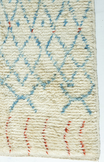 WAHO_IMAGE::n-3106-vintage-moroccan-style-fluffy-net-rug-9.00x12.02-15374.jpg