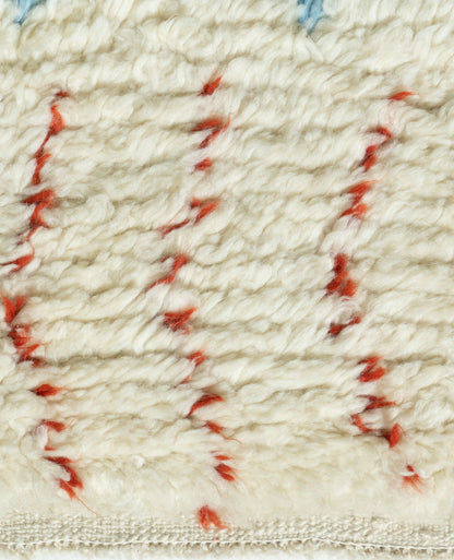 WAHO_IMAGE::n-3106-vintage-moroccan-style-fluffy-net-rug-9.00x12.02-15379.jpg