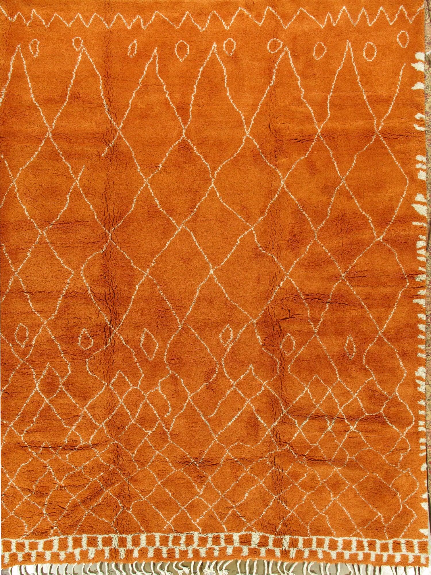 WAHO_IMAGE::n-4506-orange-fluffy-10.00x12.08-12626.jpg