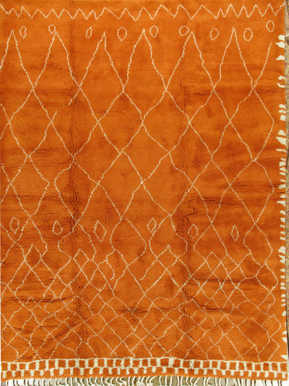 WAHO_IMAGE::n-4506-orange-fluffy-10.00x12.08-12626.jpg