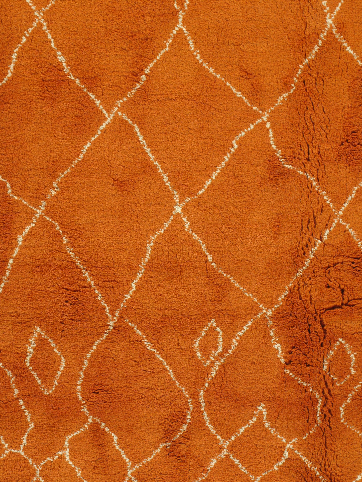 WAHO_IMAGE::n-4506-orange-fluffy-10.00x12.08-12628.jpg