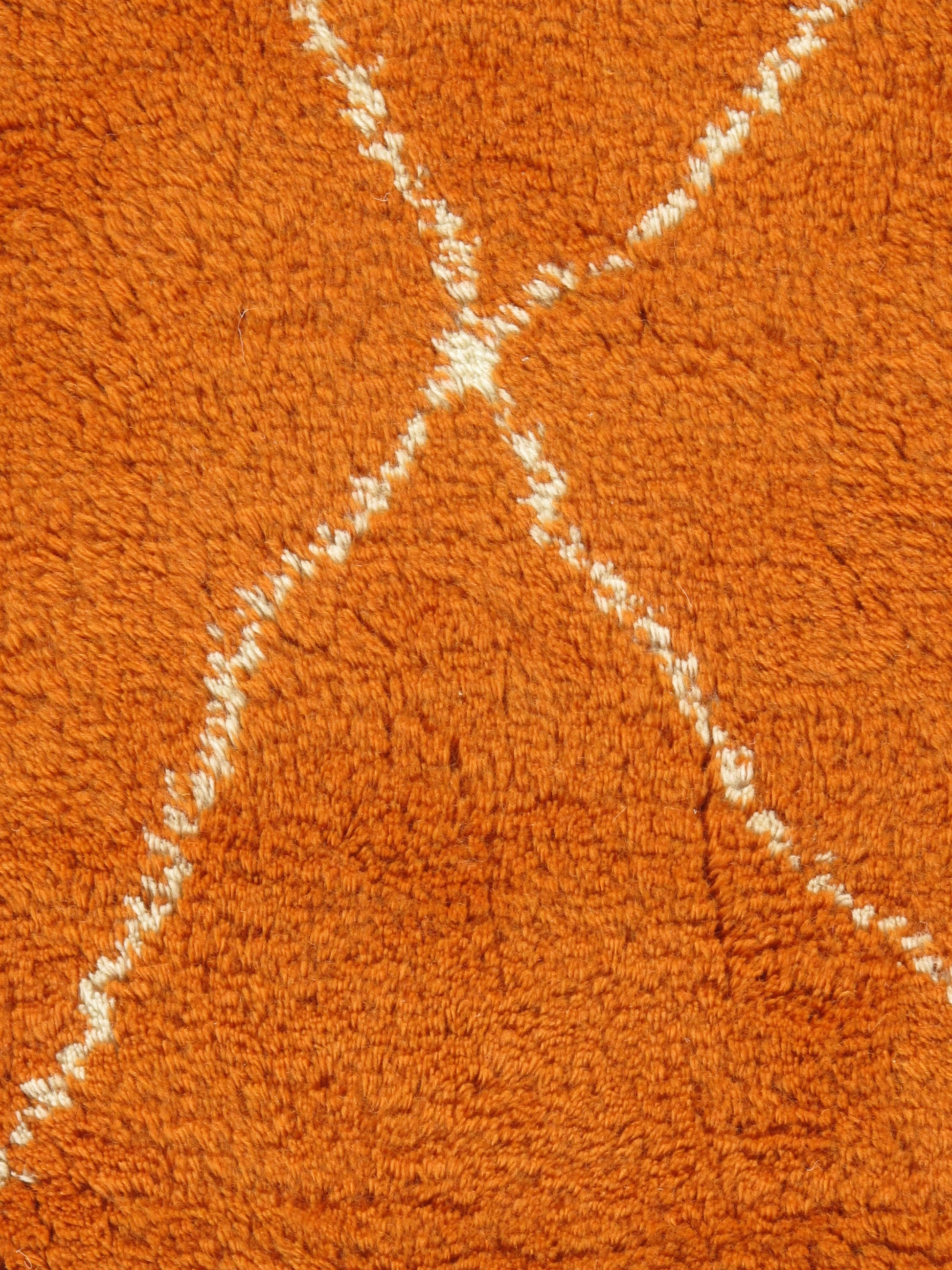 WAHO_IMAGE::n-4506-orange-fluffy-10.00x12.08-12629.jpg