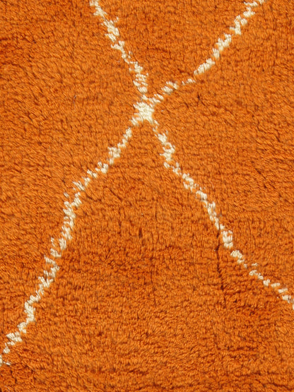WAHO_IMAGE::n-4506-orange-fluffy-10.00x12.08-12629.jpg
