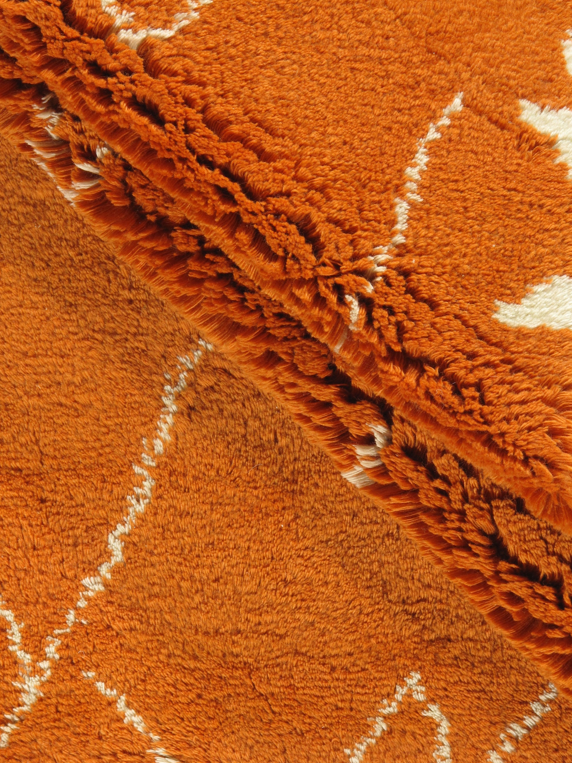 WAHO_IMAGE::n-4506-orange-fluffy-10.00x12.08-12630.jpg