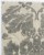 WAHO_IMAGE::n-7162-b-modern-damask-high-low-ivory-gray-rug-1.06x2.00-15870.jpg