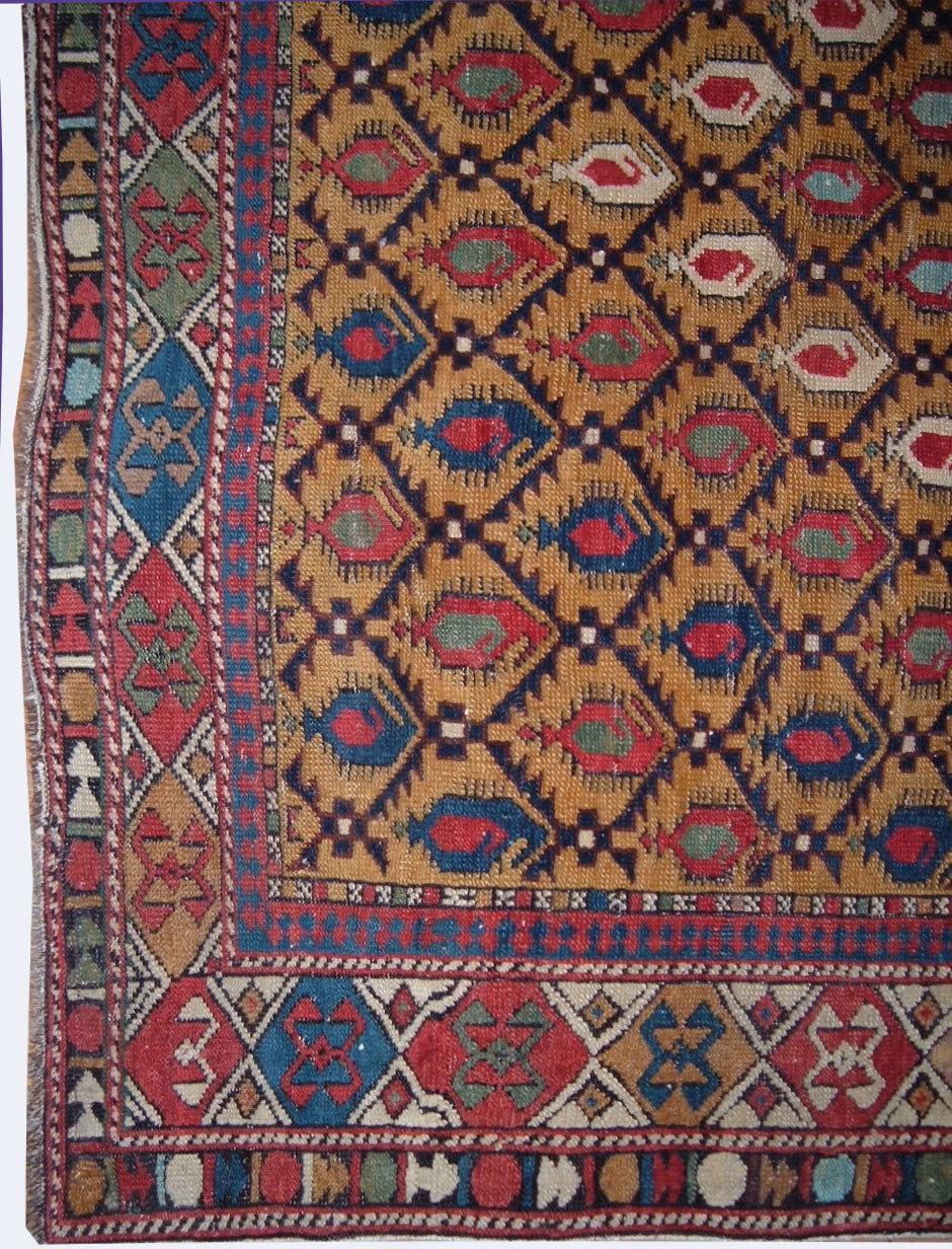 WAHO_IMAGE::u-1413-caucasian-shirvan-marasali-4.00x4.01-17723.jpg
