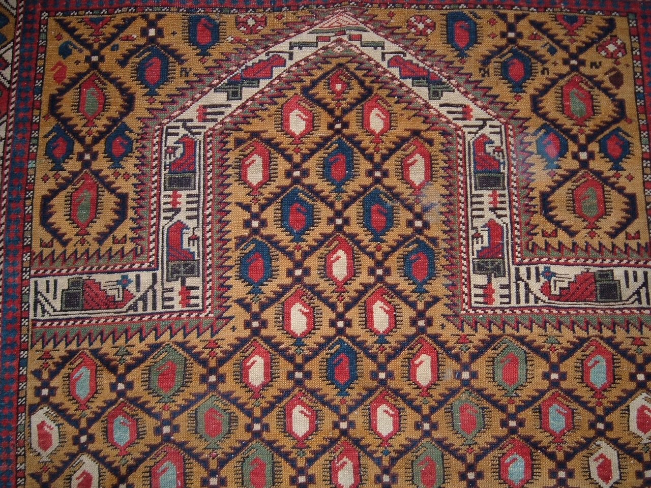 WAHO_IMAGE::u-1413-caucasian-shirvan-marasali-4.00x4.01-17724.jpg