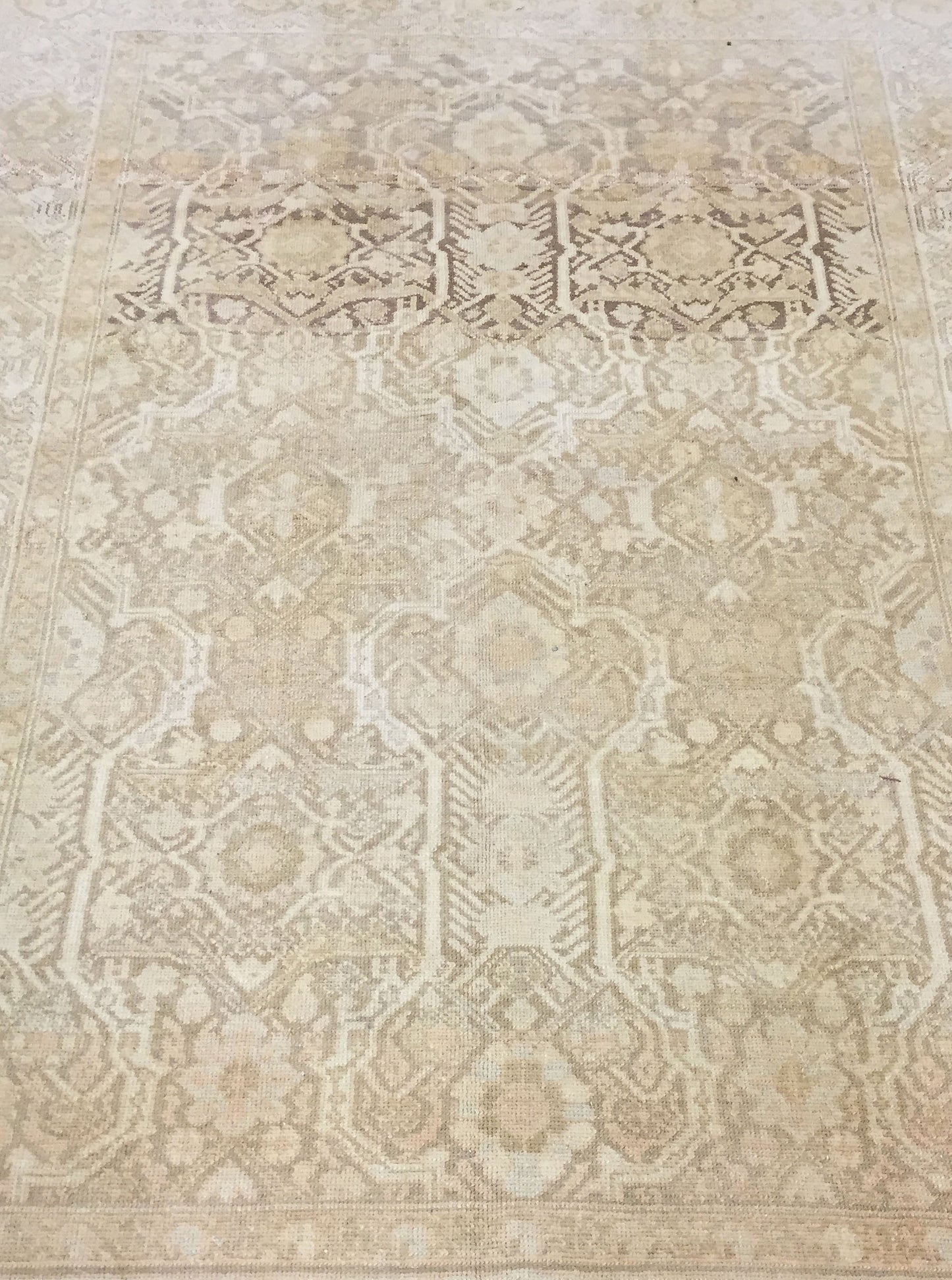 WAHO_IMAGE::u-2417-vintage-persian-malayer-rug-4.00x6.02-7147.jpg